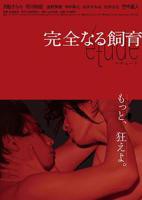 《丘比特的恶作剧虹玉》全集电视剧免费在线观看
